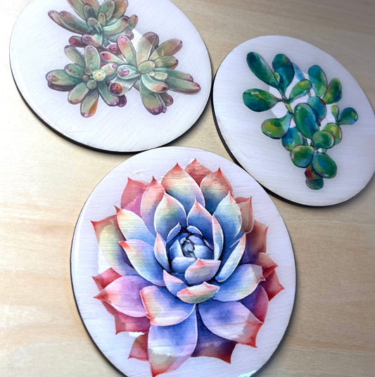 Succulent Coasters
