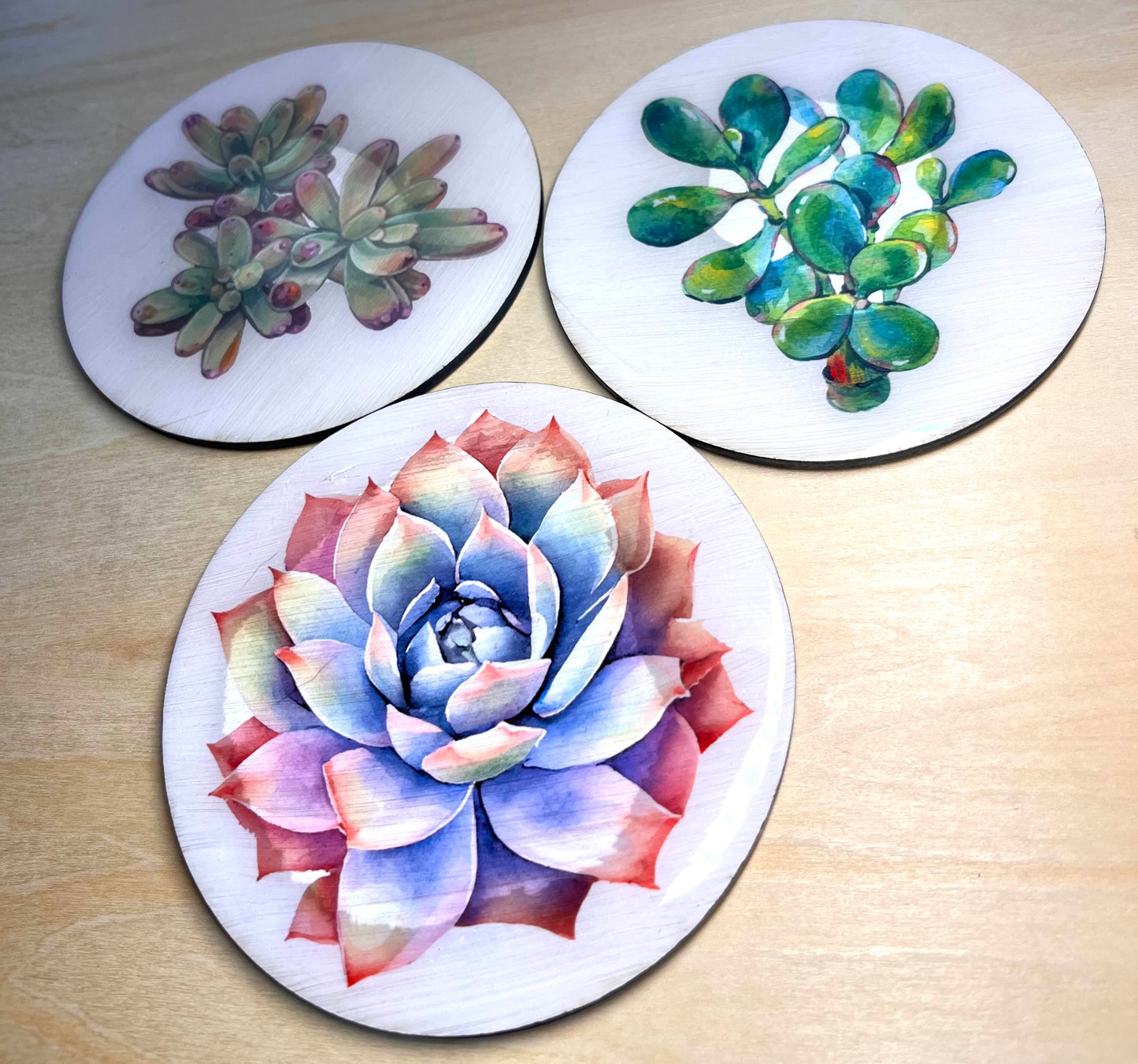 Succulent Coasters